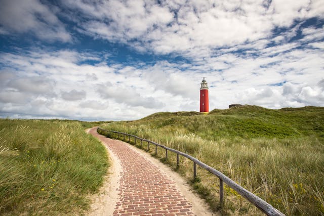 Texel